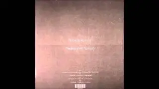 Willis Earl Beal - Burning Bridges