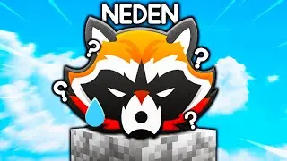 CRAFTRİSE NEDEN ??