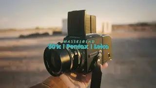 I never though I'd LOVE digital - UNTILL this Beauty
