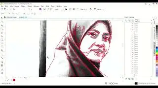 WPAP (Wedha Pop Art Potrait) MENGGUNAKAN CORELDRAW X8 - Owl City (Fireflies)