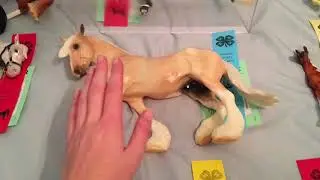 Black River Falls Model Horse Show - RESULTS!