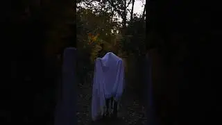 #short#youtubeshortvideo#bestshortvideo#papularshortvideo#treandingshort