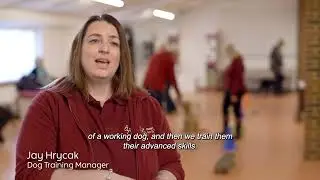 BBC Lifeline Appeal for Hearing Dogs for Deaf People