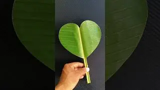 🇮🇳 Indian Flag On Banana Leaf 🇮🇳 || ❤️ Tiranga Painting #shorts #trending #youtubeshorts