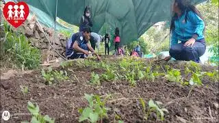 proyecto biohuerto