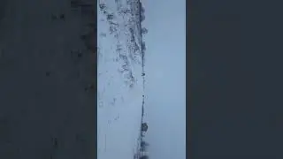 4 января 2019 г.(4)