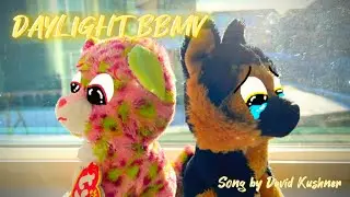 Daylight BBMV - David Kushner