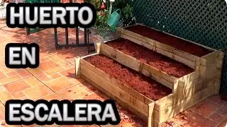 How to Make a Staircase Garden || Urban Garden || Toni's Little Garden