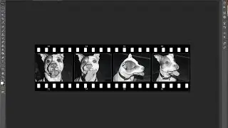 FREE FILM STRIP TEMPLATE - PHOTOSHOP