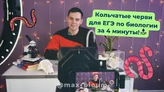 ⚡️Кольчатые черви для ЕГЭ по биологии за 4 МИНУТЫ