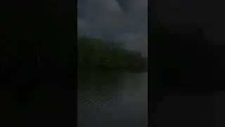 Парк в Балашихе ( Московская обл)