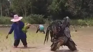 There Is A Predator In Thailand Working In The Patty Fields