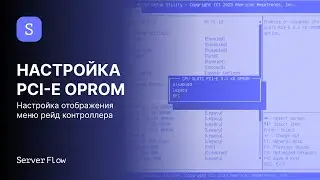 Настройка PCI-E OPROM: Legacy, EFI. Настройка отображения меню рейд контроллера.