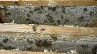 Что показали четвертые магазины