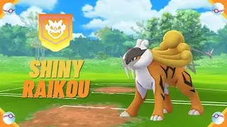 A Wild ✨ Shiny Raikou ✨ Appeared! [Pokemon GO Tour: Johto] #shorts