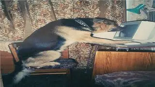 КИ БЕР ВАНЁК 90 ИГрАЕТ В CS:GO