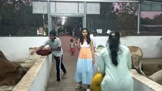 Punya Dham Ashram Pisholi pune (panjrapol)April 8, 2024