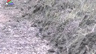 Ситуация: тротуар в Стропах