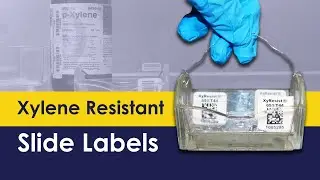 Xylene Resistant Slide Labels