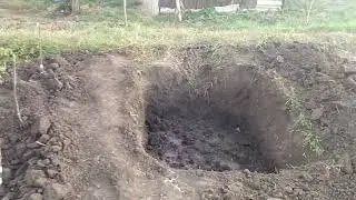 Садимо саджанці винограду.