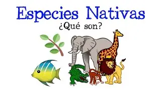 🦁 ¿Qué son las Especies Nativas? 🌿 [Fácil y Rápido] | BIOLOGÍA |