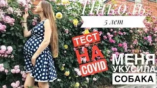МЕНЯ УКУСИЛА СОБАКА😬 ВЫХОЖУ 3 РАЗ В ДЕКРЕТ🤪 ВСЁ О ТЕСТЕ НА COVID ПРИ БЕРЕМЕННОСТИ😎
