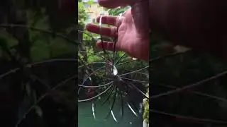 ???@@@