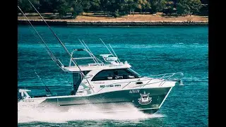 KITTED CAT – Sailfish 3200 Platinum Sports
