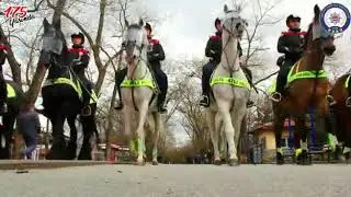 POLİS HAFTASI
