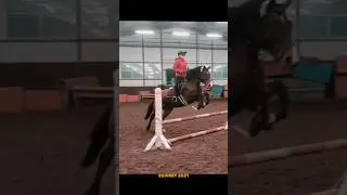 ⚡я всегда онлайн в телеграме - @eqvirey