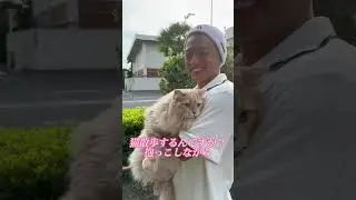 散歩中のゆーしくんに遭遇した