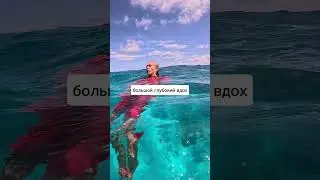 Связали и выбросили за борт😨