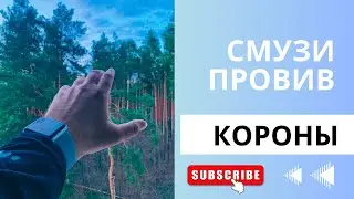 СМУЗИ ПРОТИВ КОРОНОВИРУСА - ПРОСТОЙ РЕЦЕПТ | НЕРЕАЛНЫЙ ВКУС