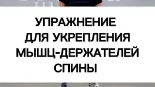 Укрепляем мышцы держатели спины