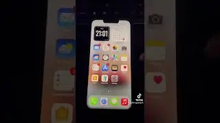 Black or white icons? What do you prefer?