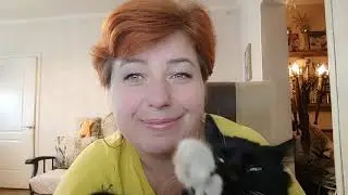 А поговорить) с заводчиком корги)