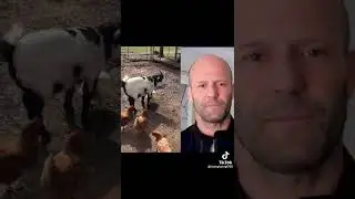 Что это было?))))