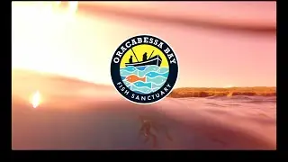 The Story of Oracabessa Fish Sanctuary