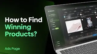 How to find winning products using the Ads Page in Adnosaur