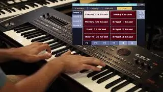 Salamander Piano Samples V.4 (Korg Pa Series)