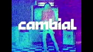 Fu_k The Zeitgeist - Cambial