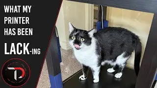 is this what my printer has been lacking?