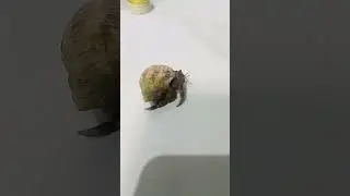 nalaglag sya