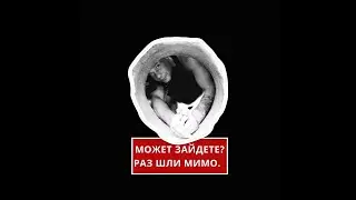 Транслейтер  - Игра, равная Жизни
