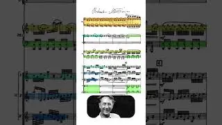 Martinů Harpsichord Concerto - Adagio
