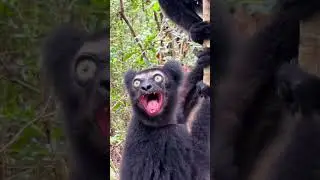 Утром после пьянки! Смешная озвучка🤣