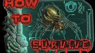 How to farm the BroodMother