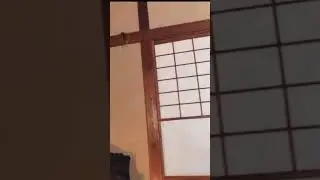 Pemersatu Bangsa Hana Haruna