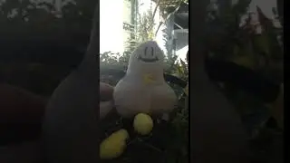 Novelty talking phallus