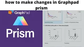 How to make changes in sheet of graph pad prism